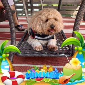 Meet your Posher, Nancy